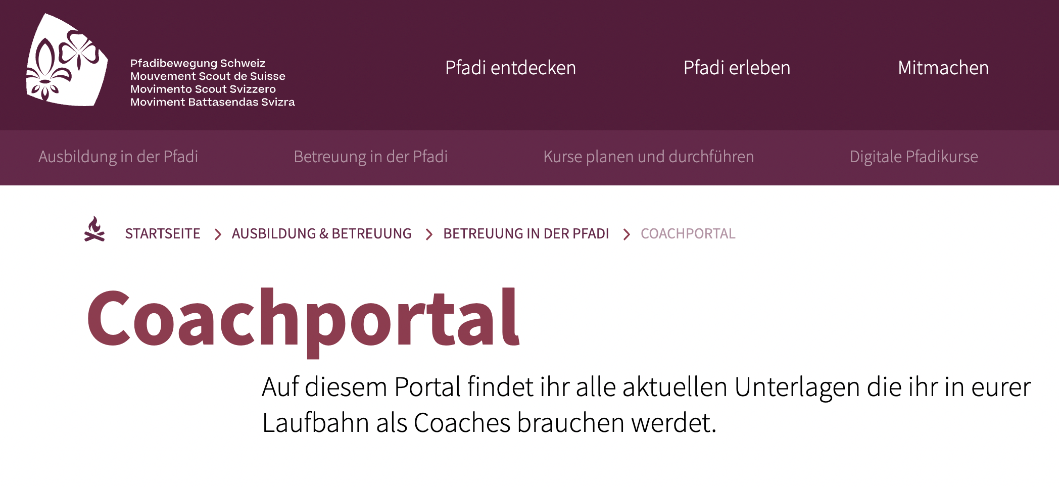 Read more about the article Coachportal